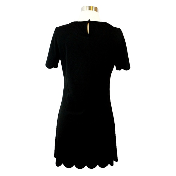 Black Short Sleeve Scallops Shift Dress - Picture 7 of 7